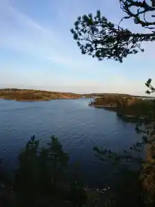 Домик на берегу Ладожского озера - 33
