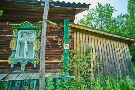 Подсолнухи - 113