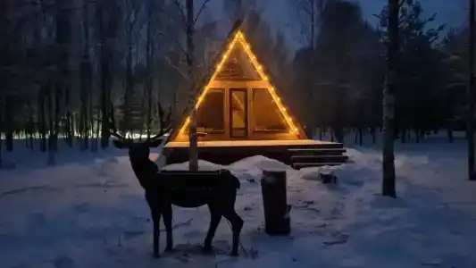 Глэмпинг Ёлкино За Палкино - 80