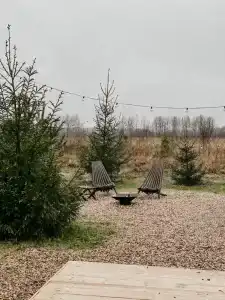 Дом Аиста - 96