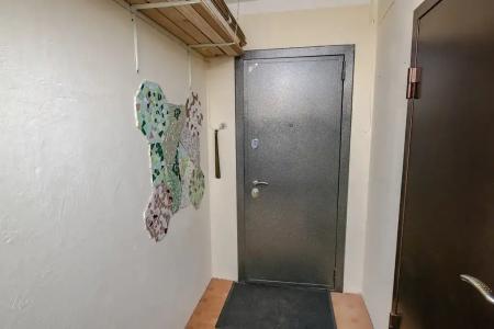 3-х комнатная квартира, рядом остров Русский, Владивосток - 22