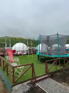 Аквариум - 13