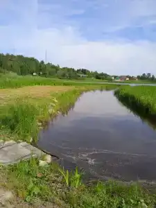 Дом для отпуска на Большой Боровой, 62 - 98