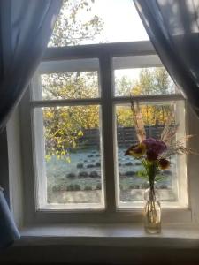 Уютный лесной домик со всеми удобствами в Полянках - 17