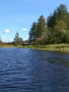 Хутор Медовое - 17