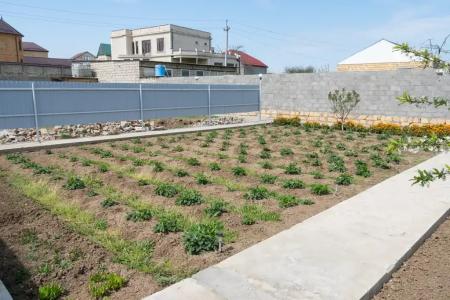 Уютные коттеджи рядом с морем - 13