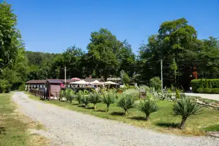 Вотчина - 173