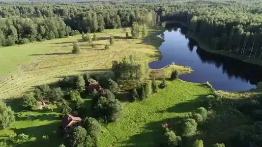 Веселый трутень - 15