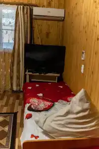 Платан - 10