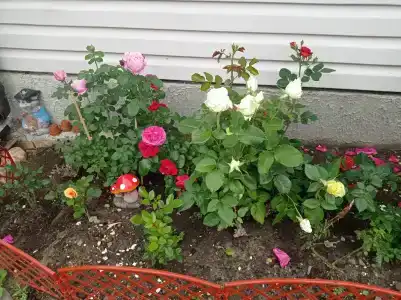 Семейный дом - 20