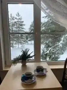 Дом в стиле прованс с сауной и чаном - 30