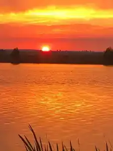 Царское село - 14