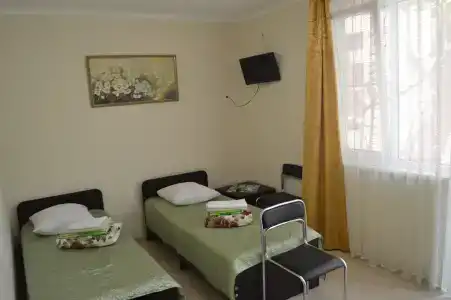 Родничок - 10