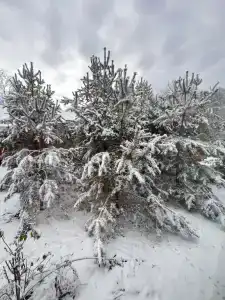 Гостевой дом у озера на улице Речная 38 - 60
