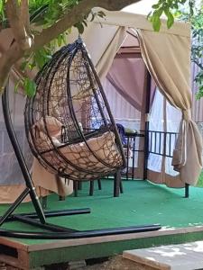 Квартиры на Цветочной 34 - 13