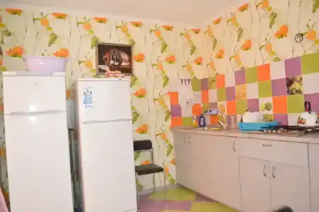 Родничок - 5