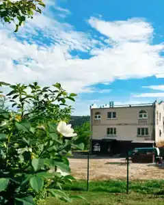 Мегаполис - 261