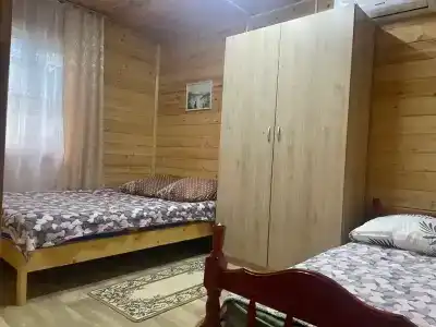 Колибри - 7