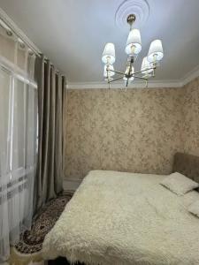 магнолия в центре - 30