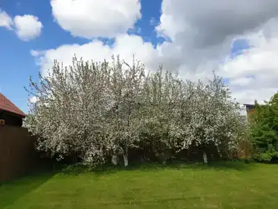 Покровский - 13