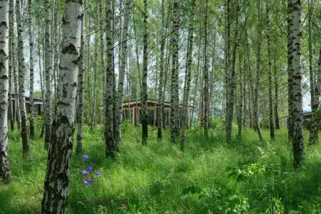 Norke Есенинская Русь - 103