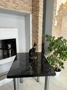 Аpartments on the square 365 - 50