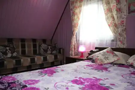 Подсолнух - 83