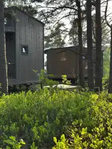 Мечта миллениала - 11