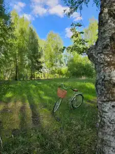 Красивый панорамный домик около леса в Ламоново - 8