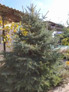 Дом на Пляжной 12 - 18