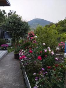 Дом для отдыха и рекреации - 1