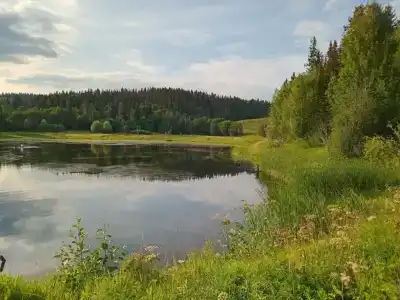 Эко-дом в глэмпинге 5 стихий - 27