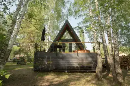 Кедр Кэмп - 1