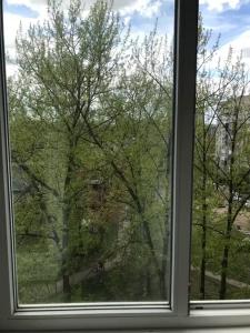 в Зяблицах - 8