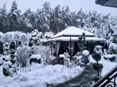 Brest Dream Gaden - 29