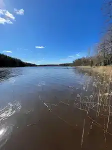 Дом в лесу на берегу Рудаковского озера - 33
