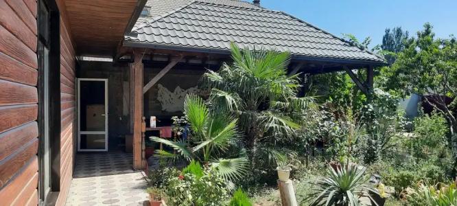 Гостевой домик с видом на пальмы - 0