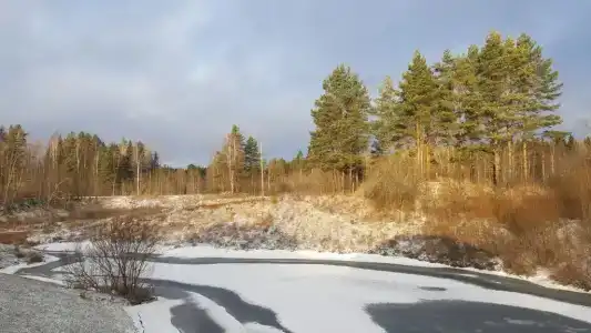 Домик у ручья - 22