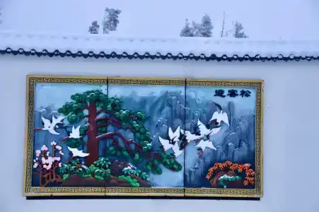 Хэйлун - 262