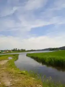 Дом для отпуска на Большой Боровой, 62 - 99