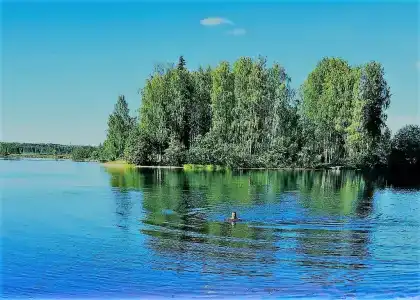 Озерки - 54