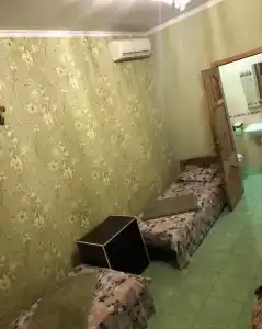 Рада - 15