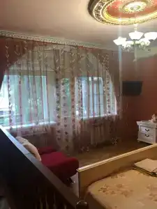Пальма - 54