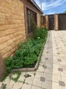 Домики у Наташи - 2