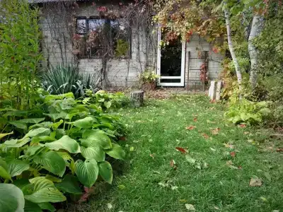 Дом с орехом во дворе - 25