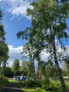 Эко-Лайф - 24