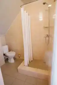 Виолетта - 42