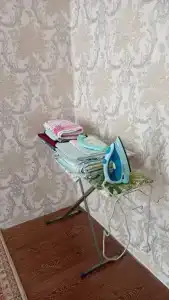 Пальмира - 1