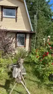 Гнездо аиста - 8