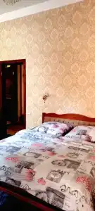 Дом с парковкой и отдельным двором - 14